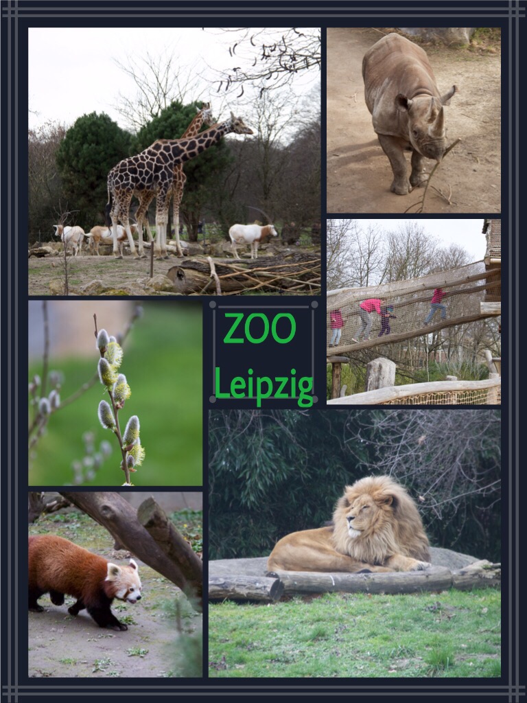 Bilder Zoo Leipzig 03/2016